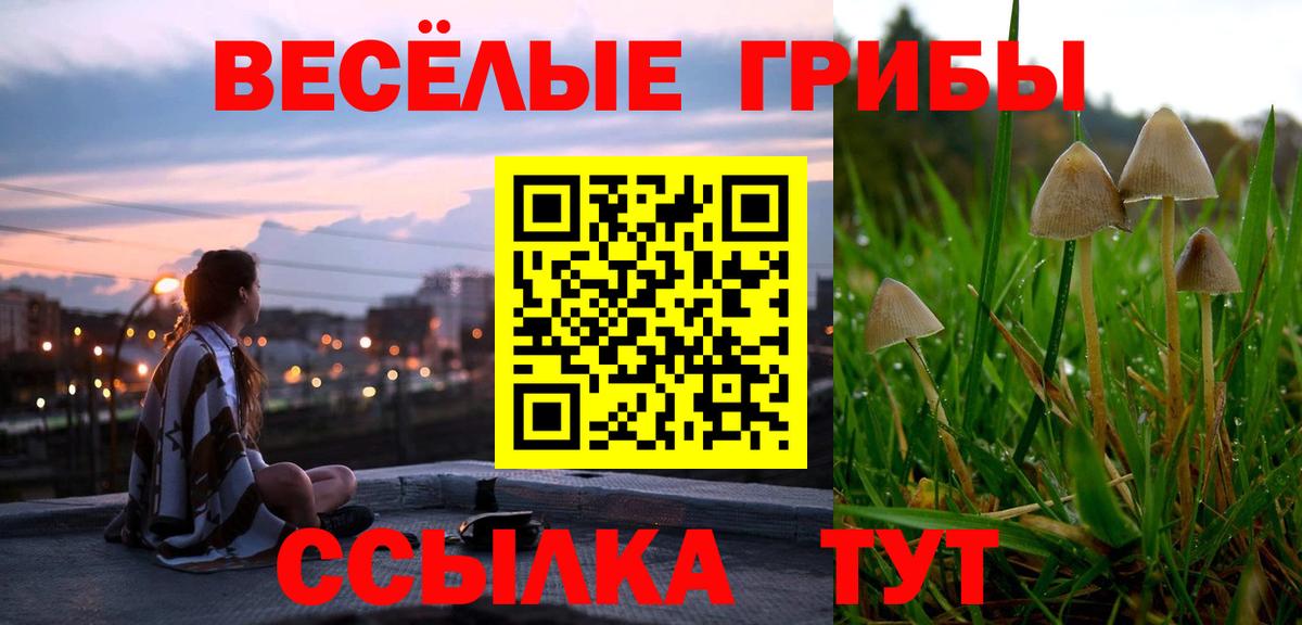 Галлюциногенные грибы Psilocybine cubensis  Псилоцибиновые грибы MAGIC MUSHROOMS  Вход с VPN  Сокол 